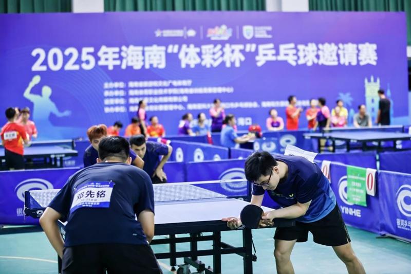 乒协, 海南体育职